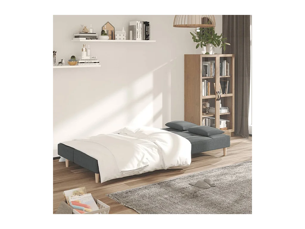 Canapé convertible à 2 places avec deux oreillers Gris foncé Tissu REO41523