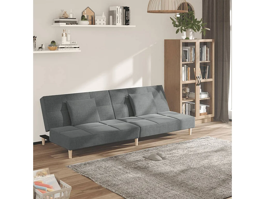 Canapé convertible à 2 places avec deux oreillers Gris foncé Tissu REO41523