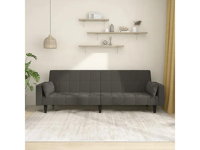 Canapé convertible à 2 places avec deux oreillers Gris foncé Velours REO61272
