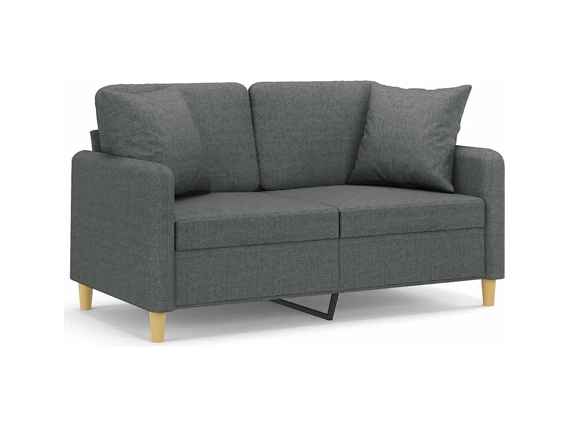 Canapé 2 places avec oreillers gris foncé 120 cm tissu REO44211