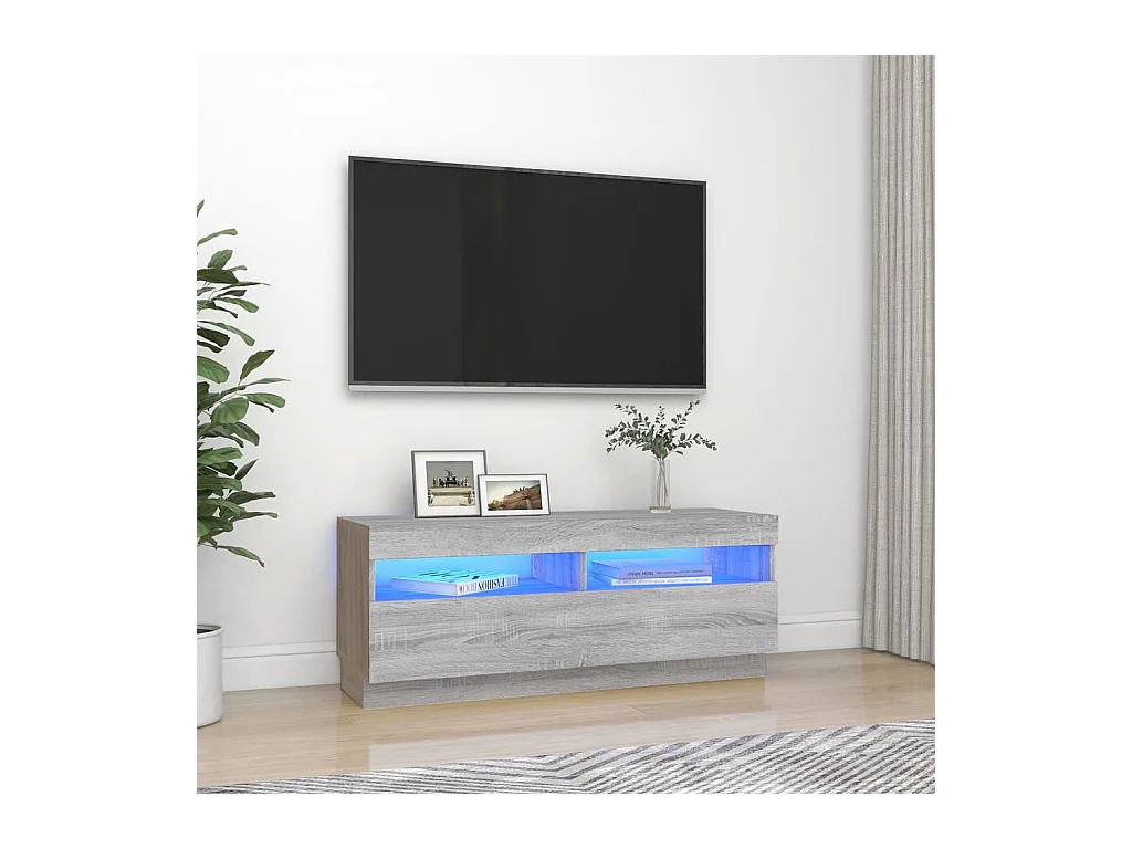 Meuble TV avec lumières LED sonoma gris 100x35x40 cm WET9932