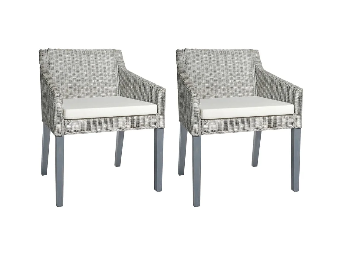 Chaises à manger avec coussins Lot de 2 gris rotin naturel REO54461