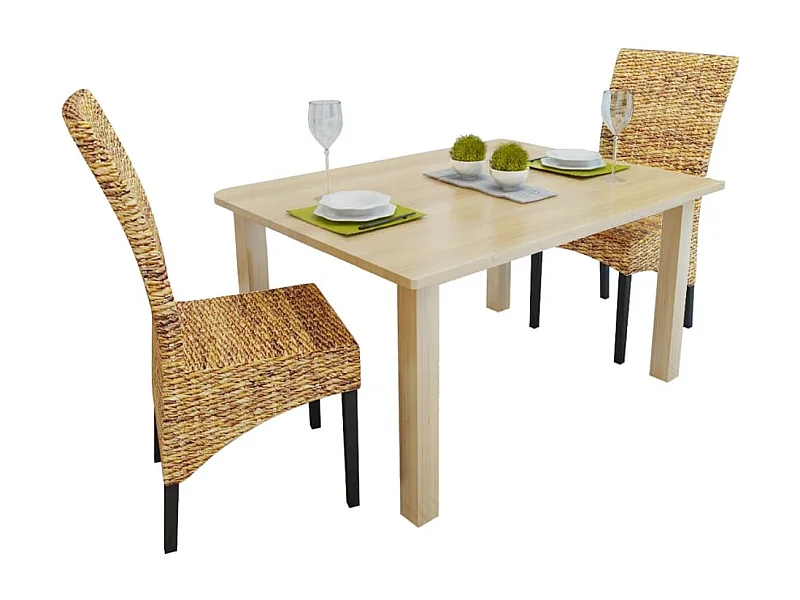 Eetkamerstoelen 2 st abaca en massief mangohout NL305154