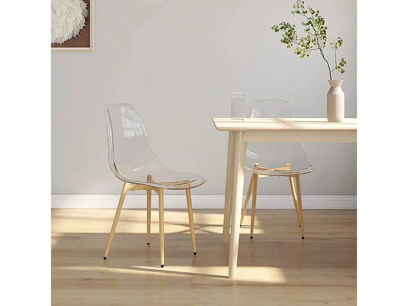 Eetkamerstoelen 2 st PET transparant NL286461