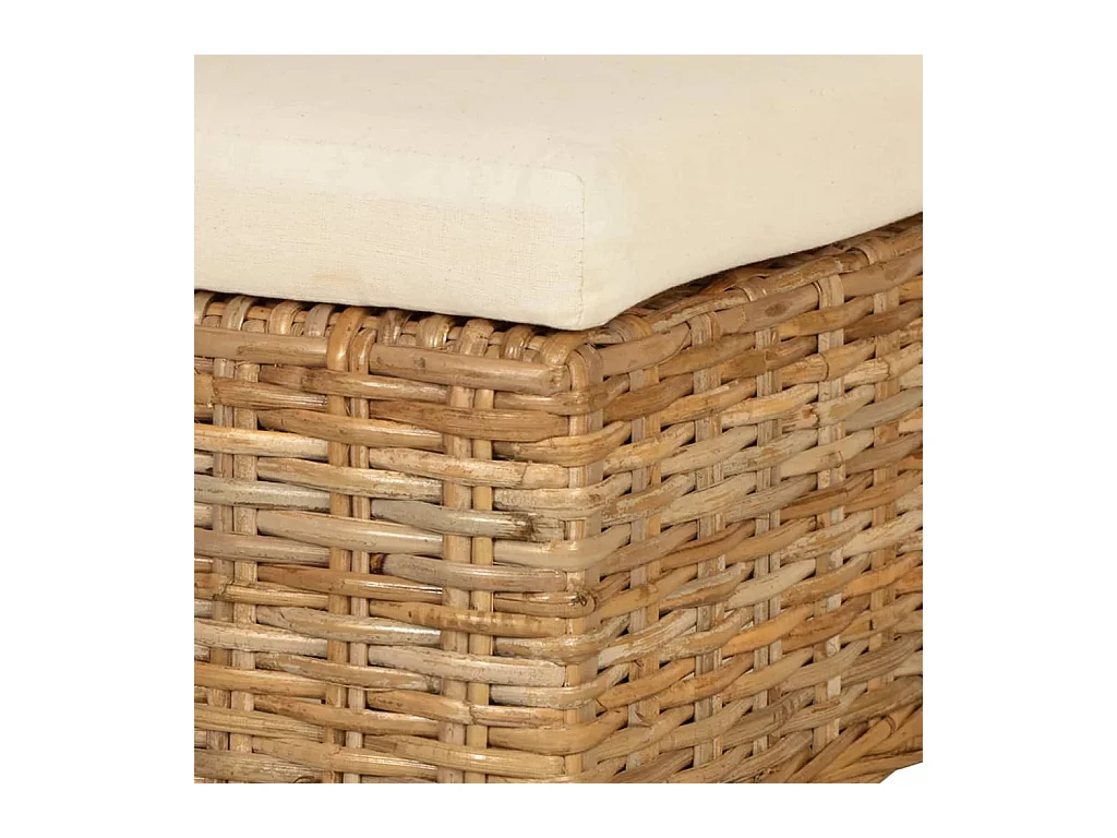 Chaises à manger Lot de 2 rotin Kubu bois de manguier REO28942