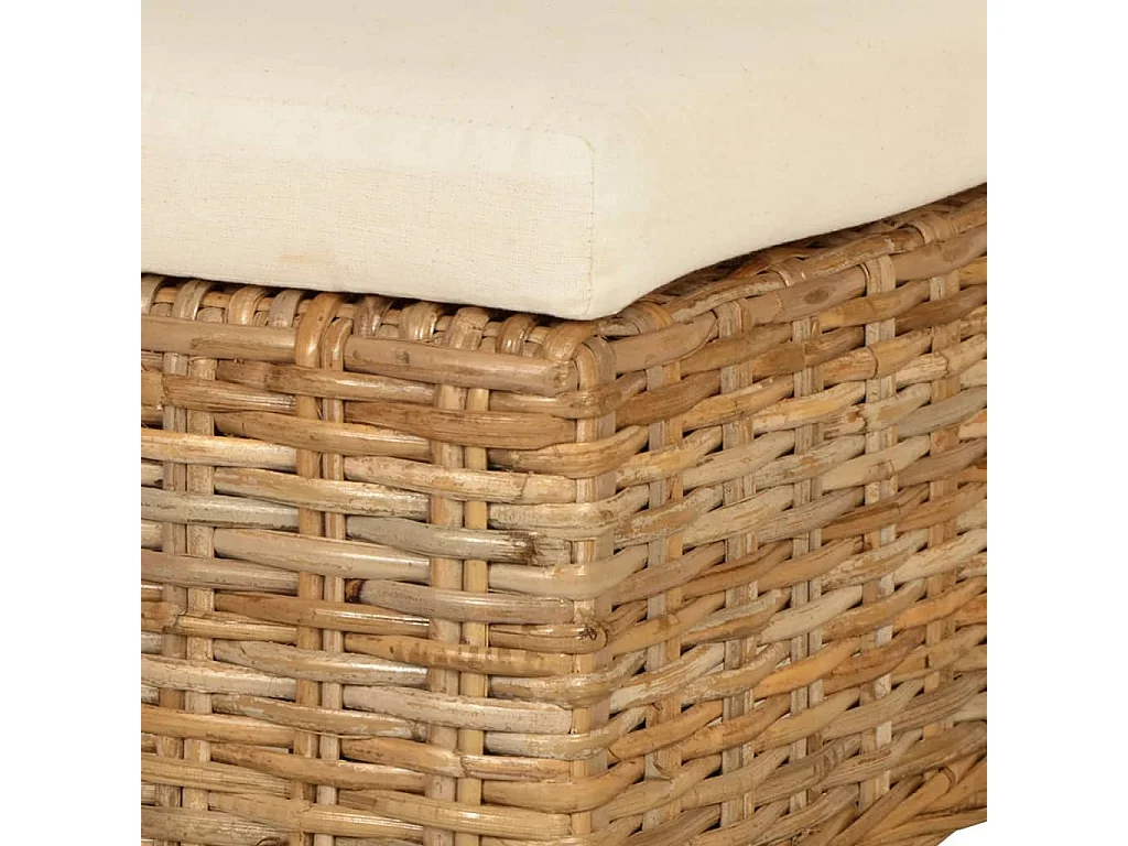 Juego de 2 Sillas de comedor ratán kubu y madera de mango ES668051