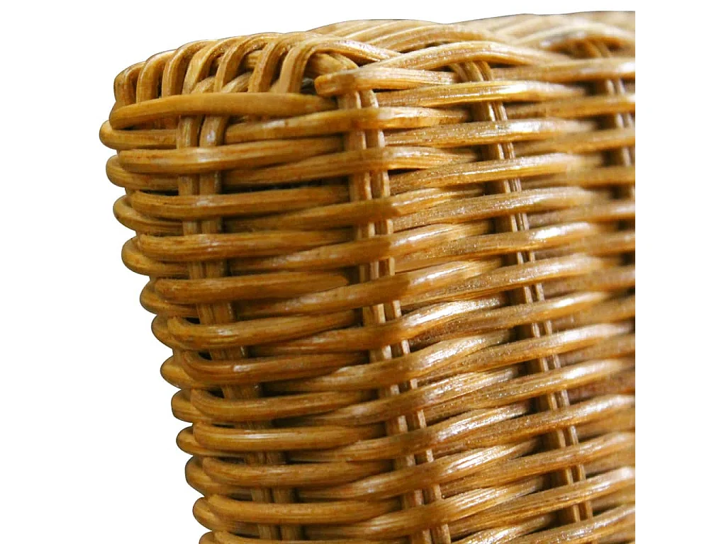 Chaises à manger Lot de 2 marron rotin naturel REO39358