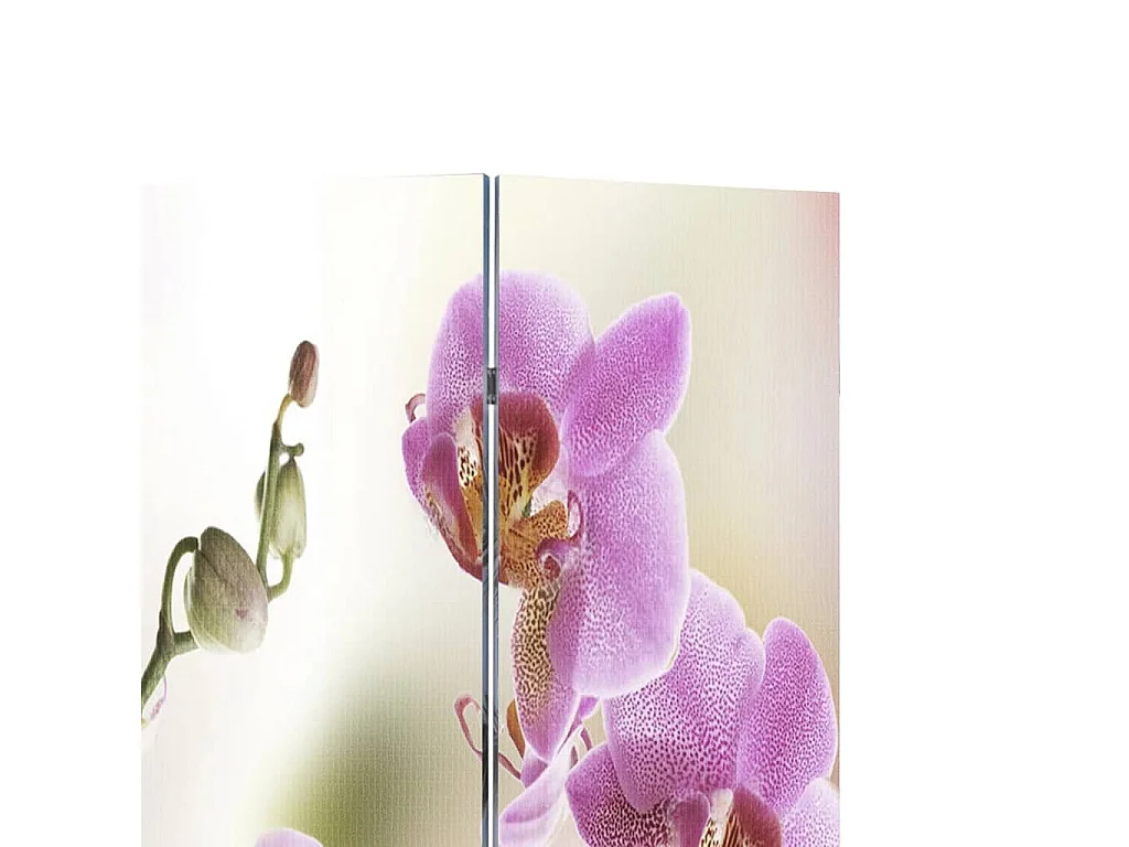 Biombo dobrável com estampa de flores 200x170 cm PT220366