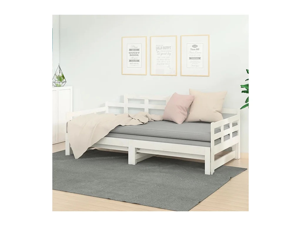 Lit gigogne Blanc Bois de pin solide 2x(80x200) cm HOQW69647