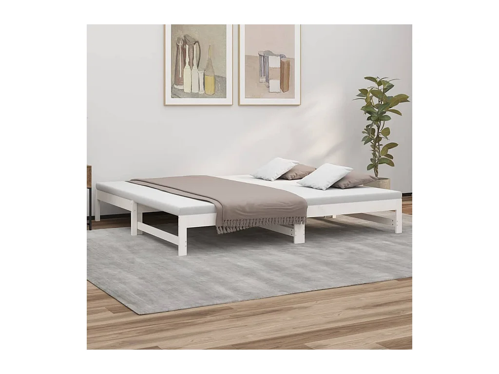 Lit gigogne Blanc 2x(80x200) cm Bois de pin massif HOQW47508