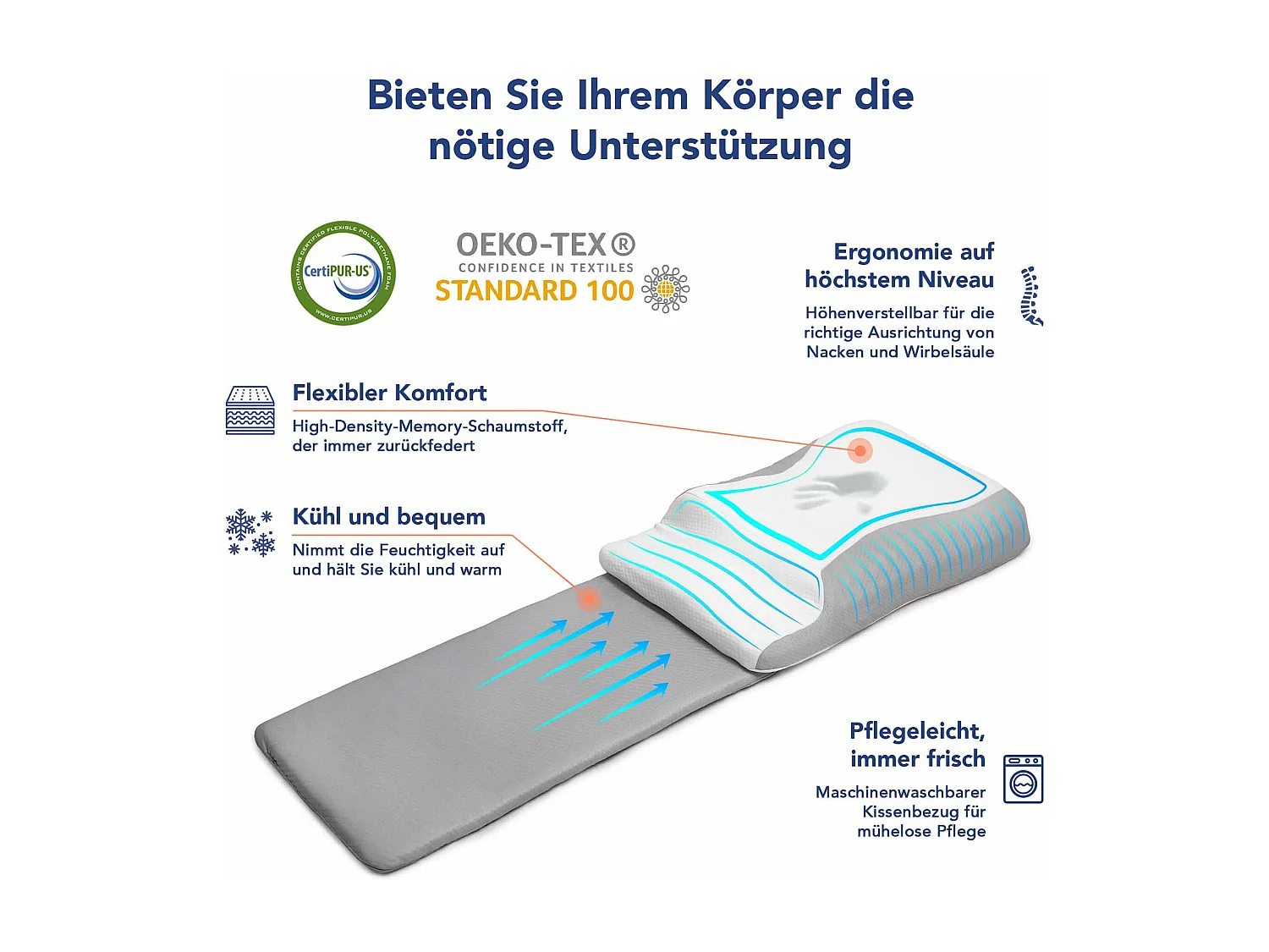 Double coussin ergonomique