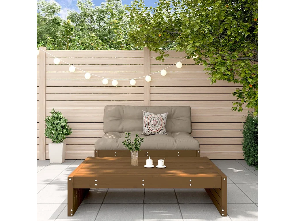 Salon de jardin 2 pcs avec coussins marron miel bois massif