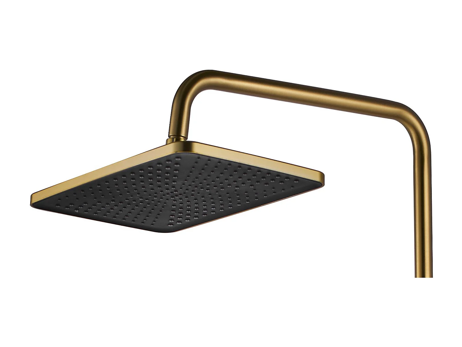 Doucheset Rea Rob Thermostat Brush Gold