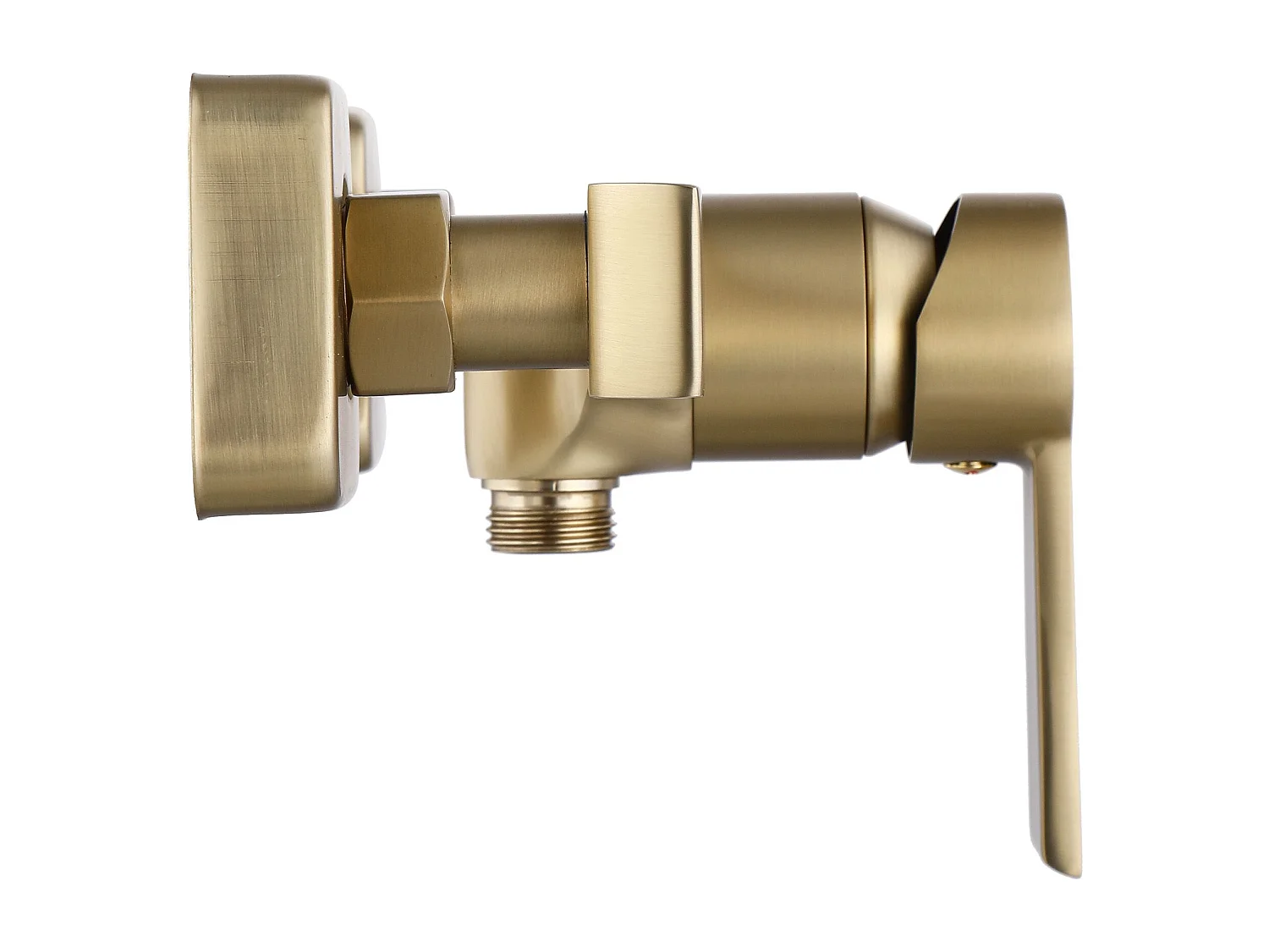 Robinet De Douche Rea My2021-8Gg Argus Brush Gold