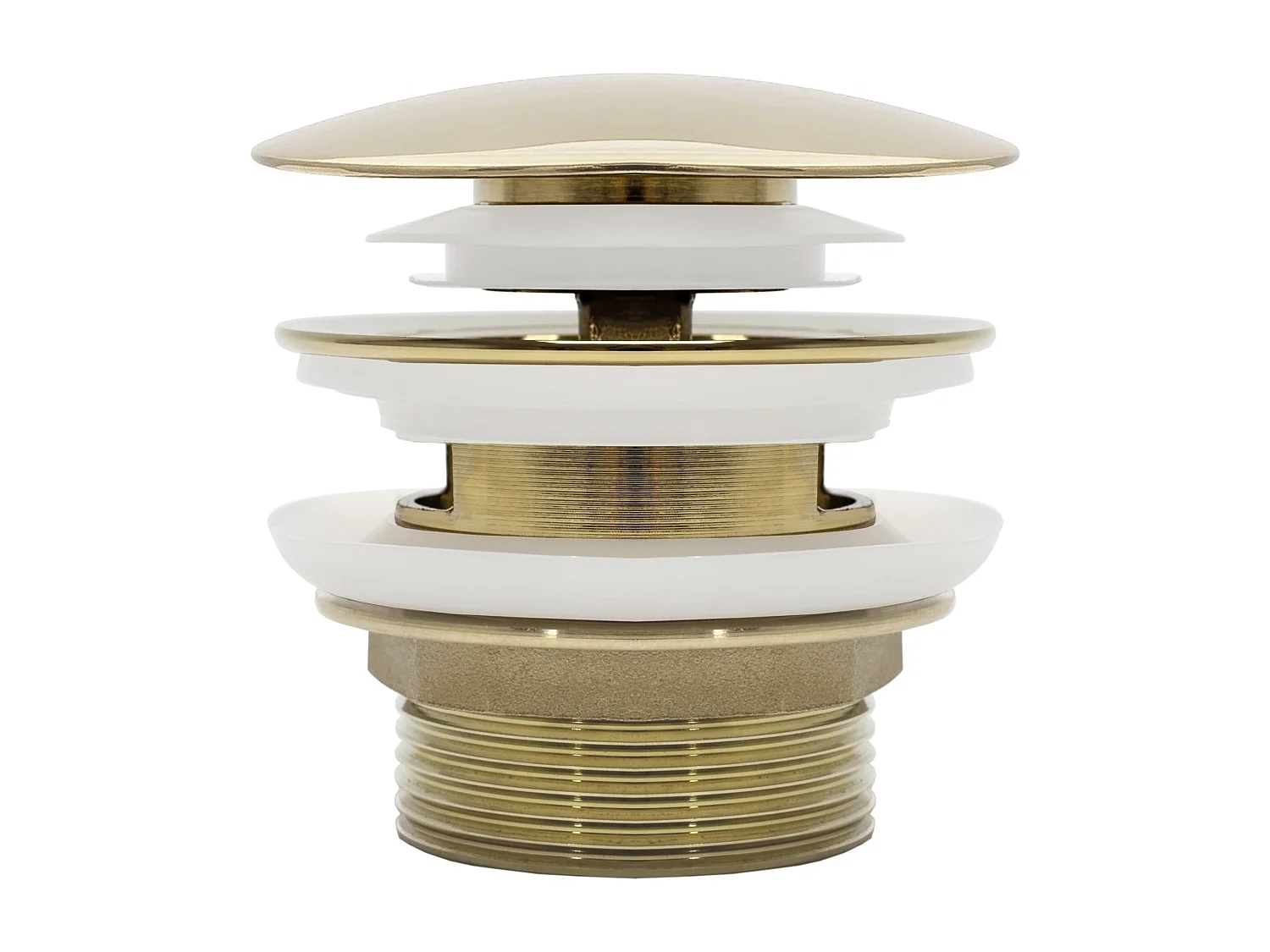 Bonde De Baignoire Rea Gold