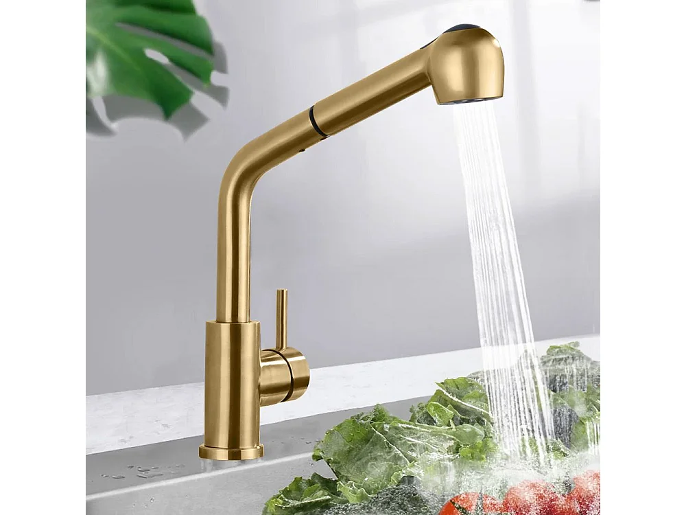 Robinet De Cuisine Rea Troy Brush Gold