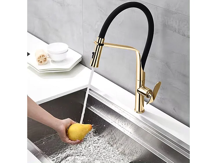 Robinet De Cuisine Rea Castor Black/Gold