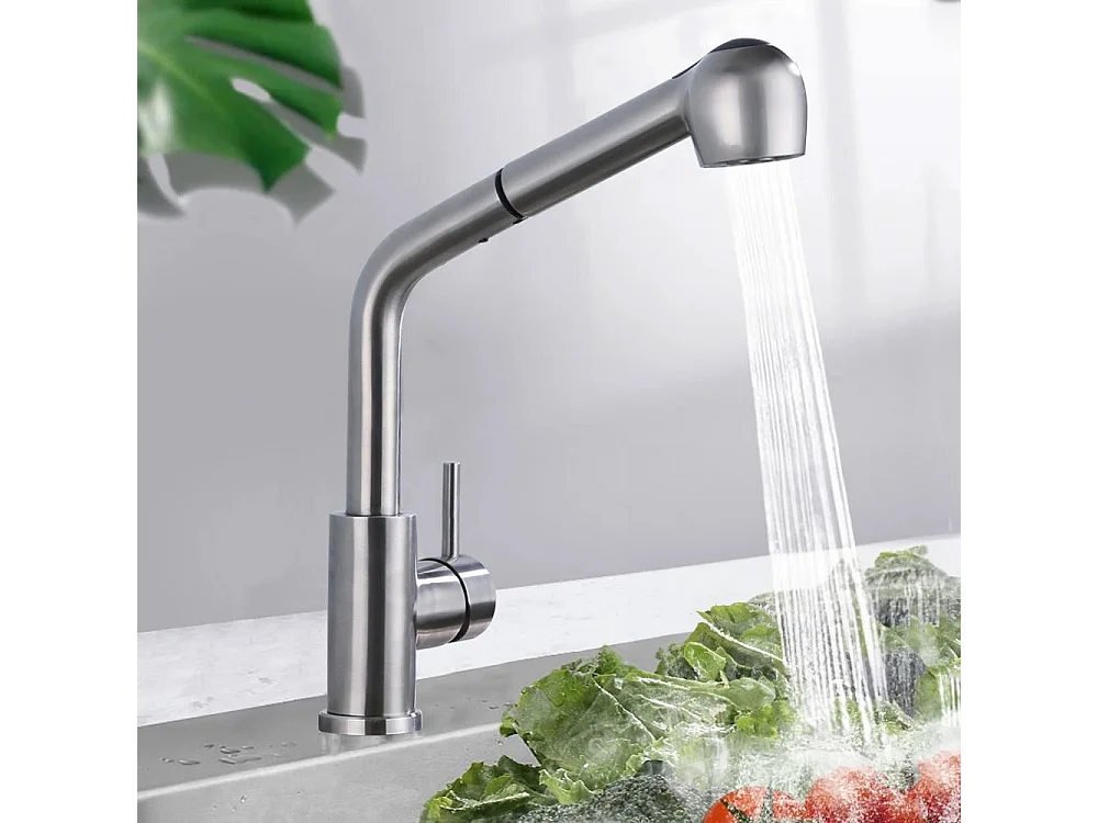 Keukenkraan Rea Troy Brush Nickel