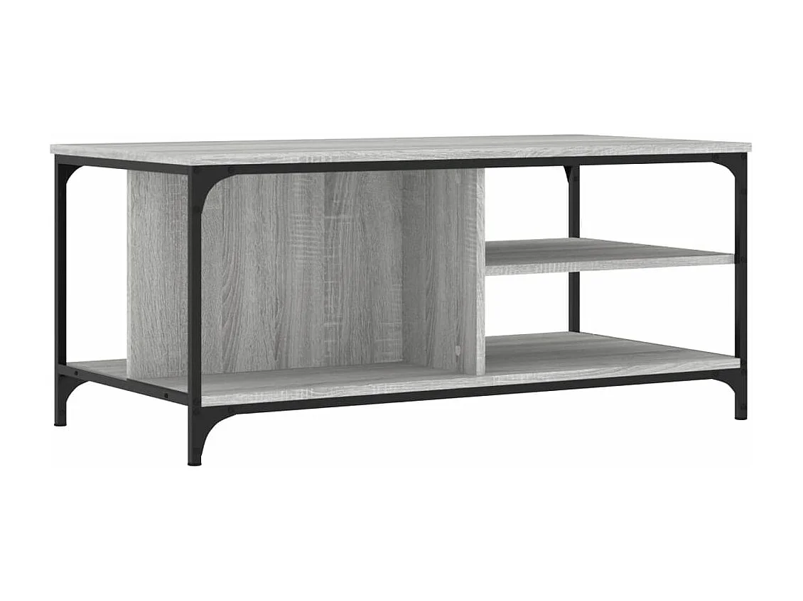 Couchtisch Grau Sonoma 100x50x45 cm Holzwerkstoff