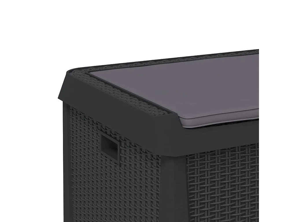 Boîte de rangement jardin coussin de siège anthracite 125 L PP