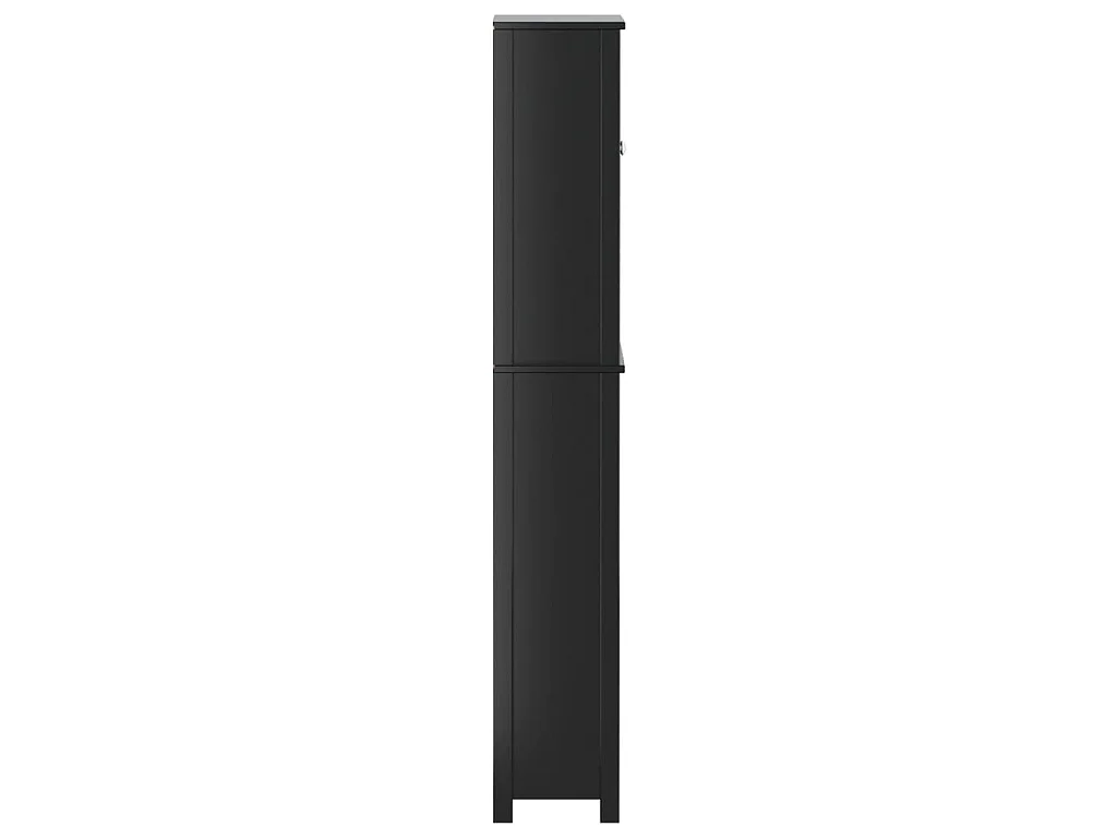 Toiletmeubel BERG 60x27x164,5 cm massief hout zwart