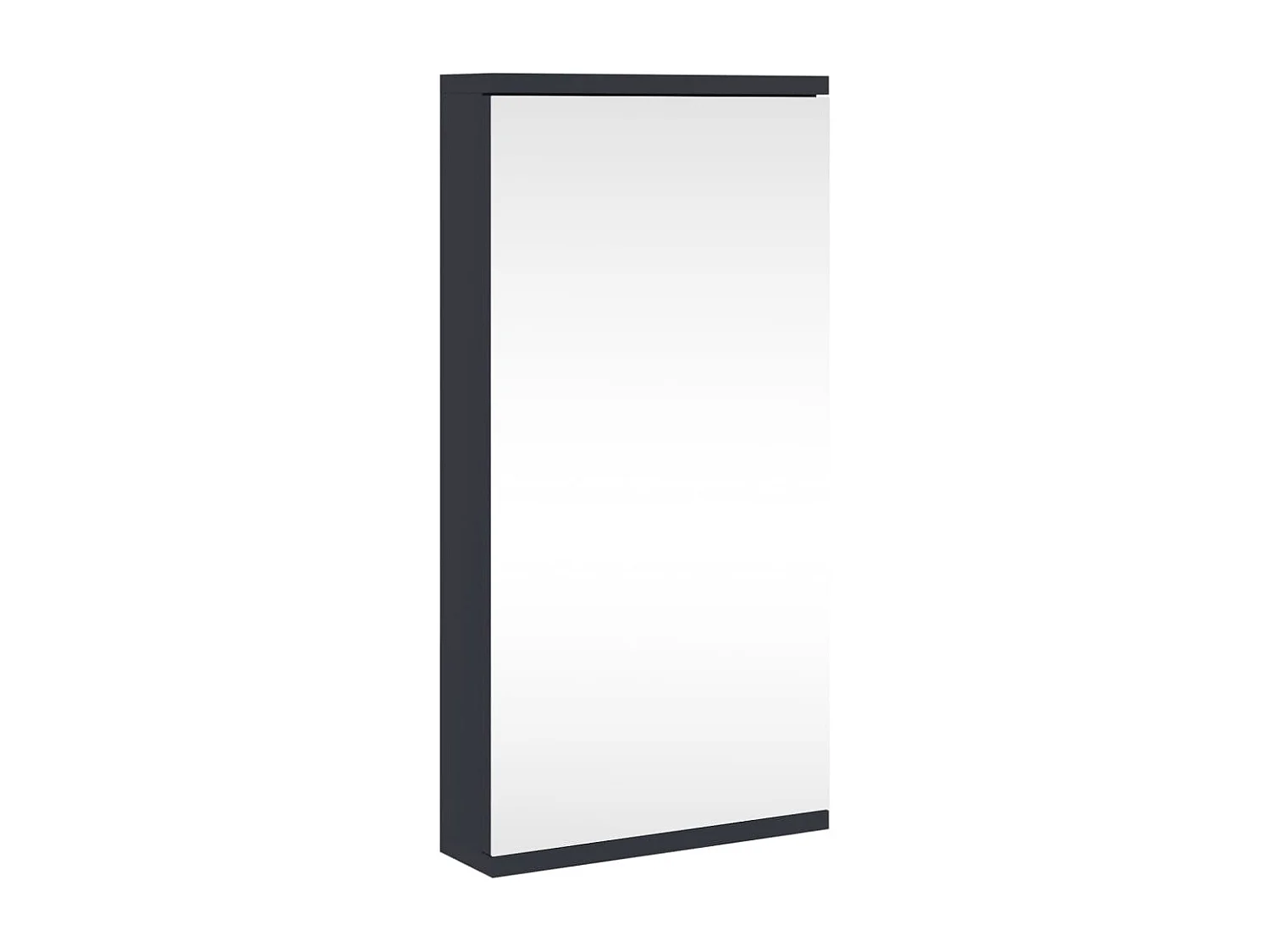 Badkamerkast met spiegel 30x24x60 cm grijs