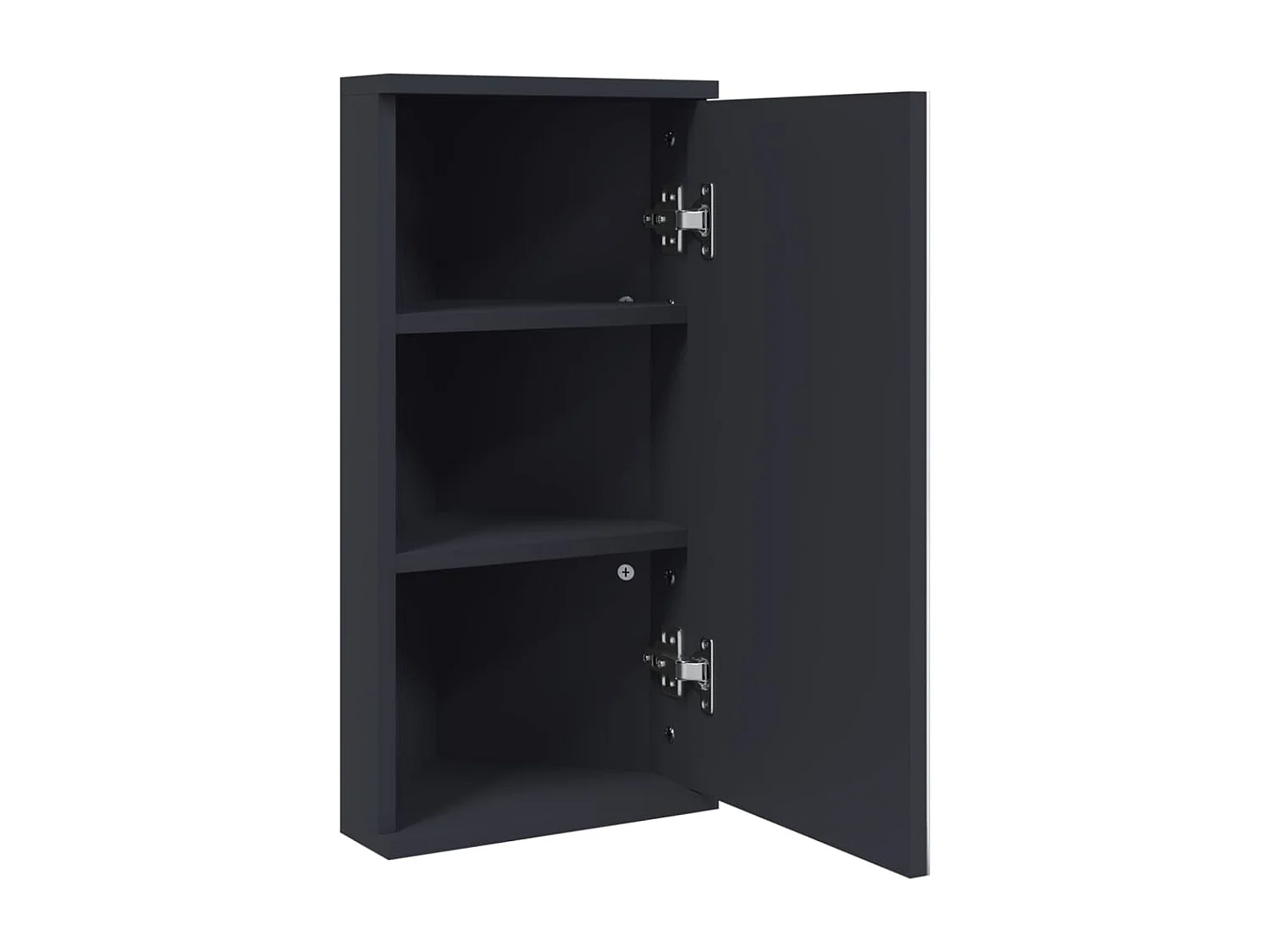 Badkamerkast met spiegel 30x24x60 cm grijs