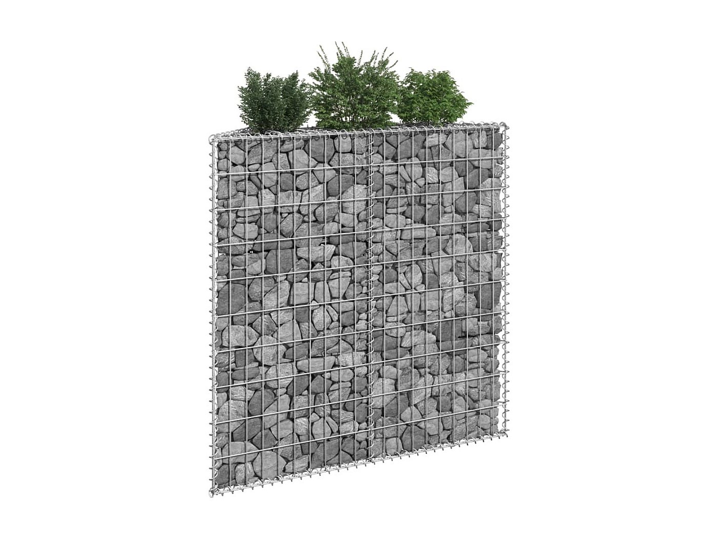 Gabbione Per Sassi E Ghiaia Gabbione Per Letto Rialzato Cubo Filo Di Acciaio 50x50x50 Cm Gabbione In Acciaio Per Giardino