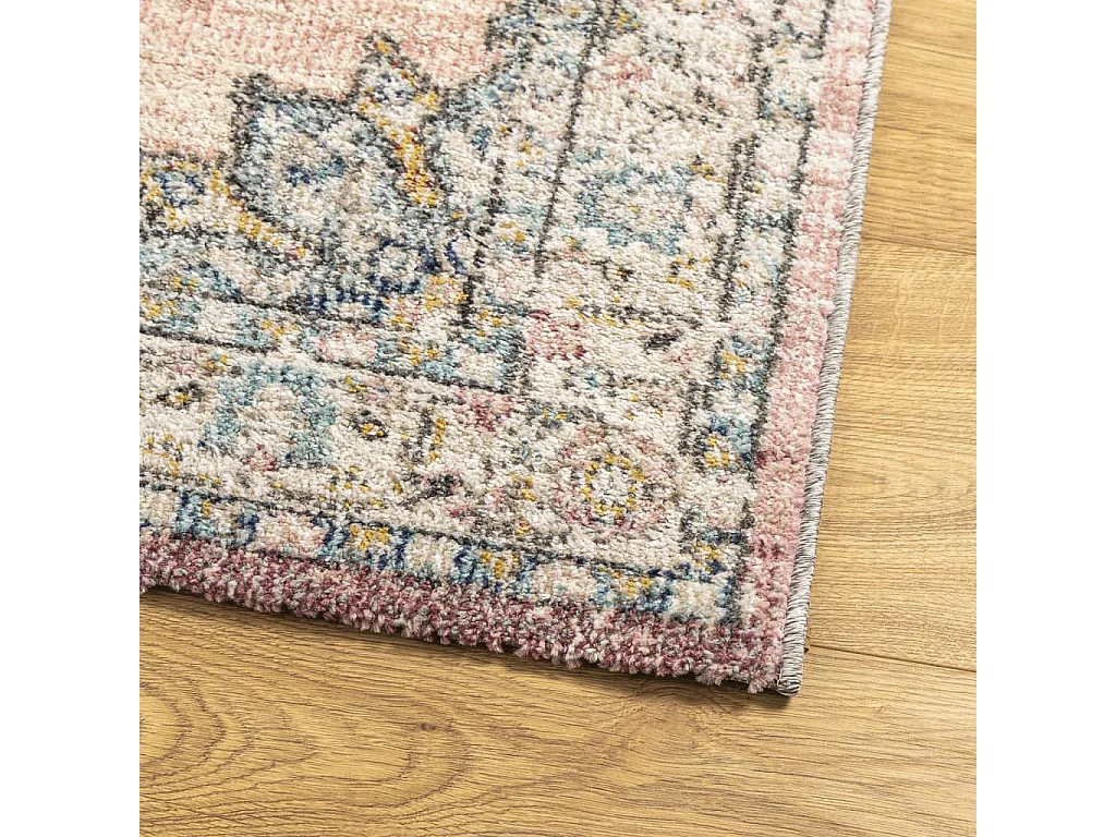 Tappeto ARBIZU Interni e Esterni Design Vintage 240x340 cm CFW45227