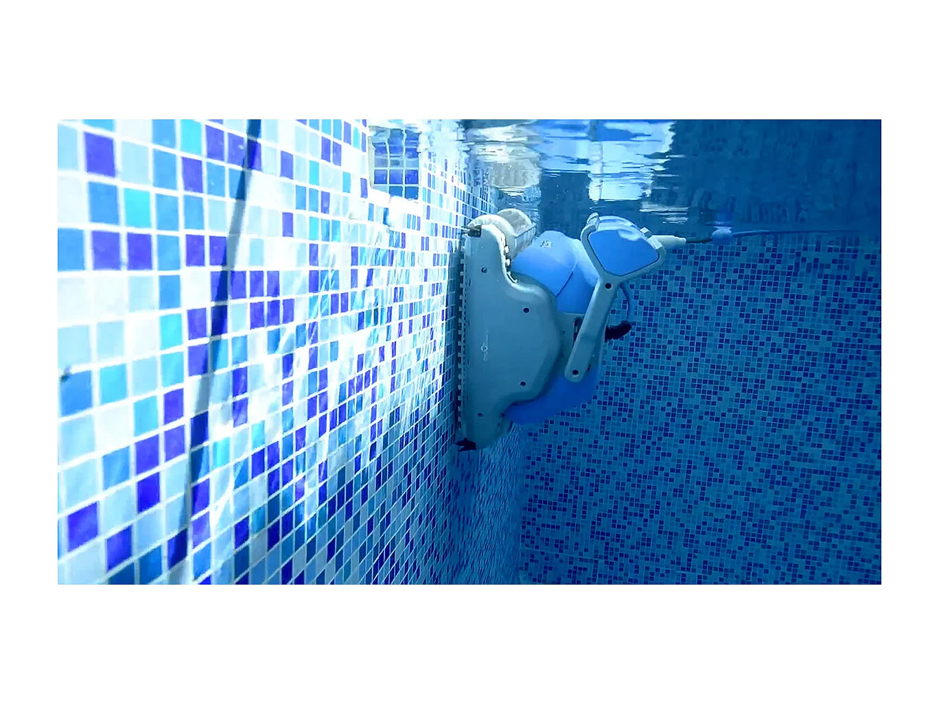 Dolphin Robot electrique de piscine fond, parois et ligne d'eau avec chariot - ms4