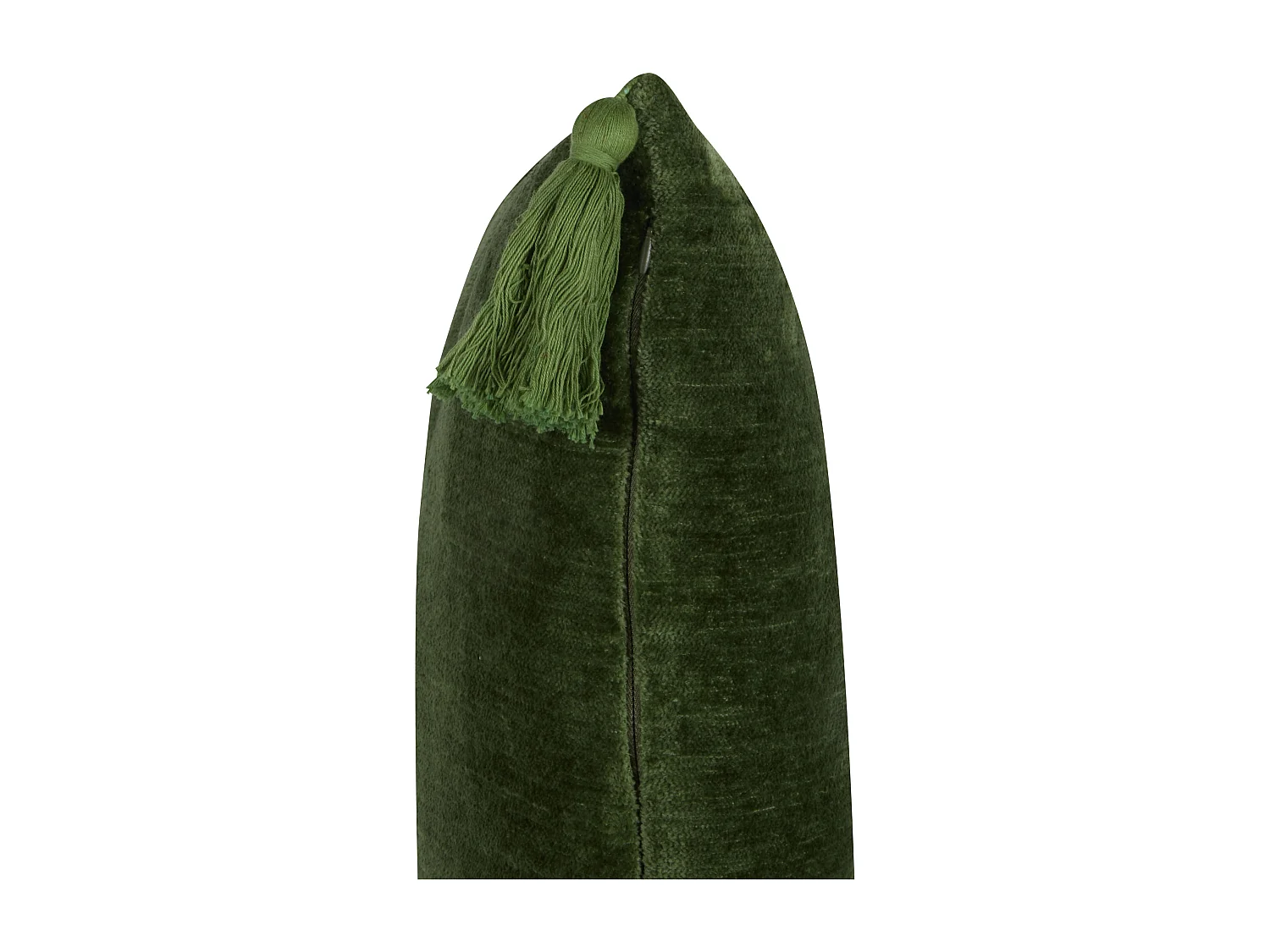 Lot de 2 coussins décoratifs HIZZINE Velours 45 x 45 cm Vert Unicolore