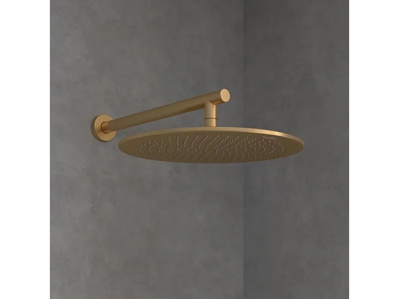 Douche de tête 350 VILLEROY ET BOCH Universal ronde Or brossé