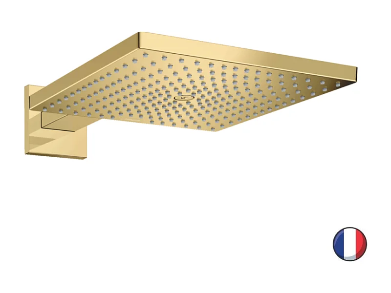 HANSGROHE Raindance E ducha fija, 1 chorro con brazo de ducha aspecto dorado pulido