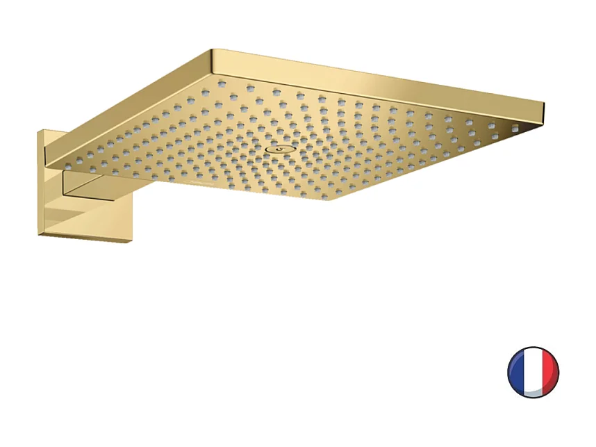 HANSGROHE Raindance E ducha fija, 1 chorro con brazo de ducha aspecto dorado pulido