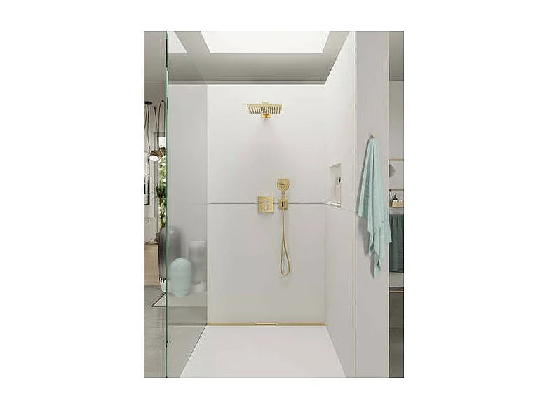 Douche de tête HANSGROHE Raindance E, 1 jet avec bras de douche aspect doré poli