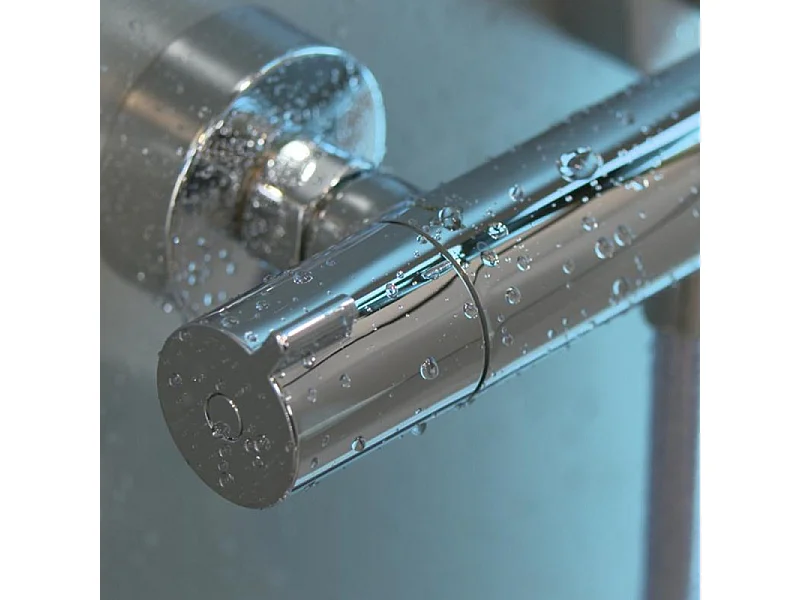 Pack mitigeur douche thermostatique HANSGROHE Ecostat 1001 CL + Barre et pommeau de douche Crometta Vario 2 jets Chromé