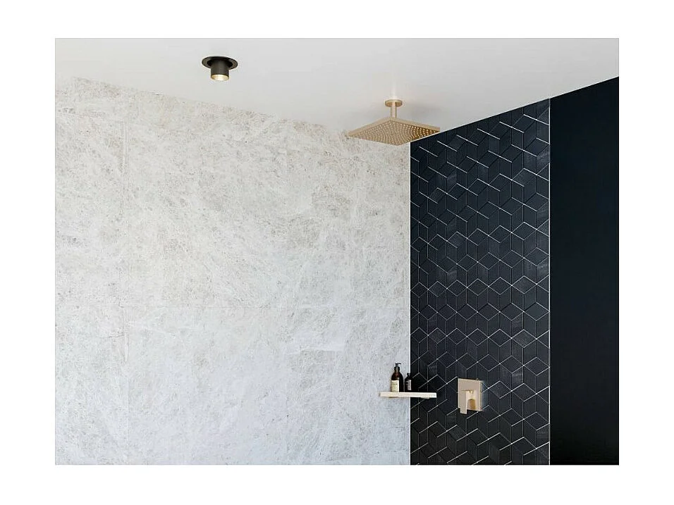 HANSGROHE Raindance E ducha fija de 1 chorro con conexión a techo aspecto dorado pulido