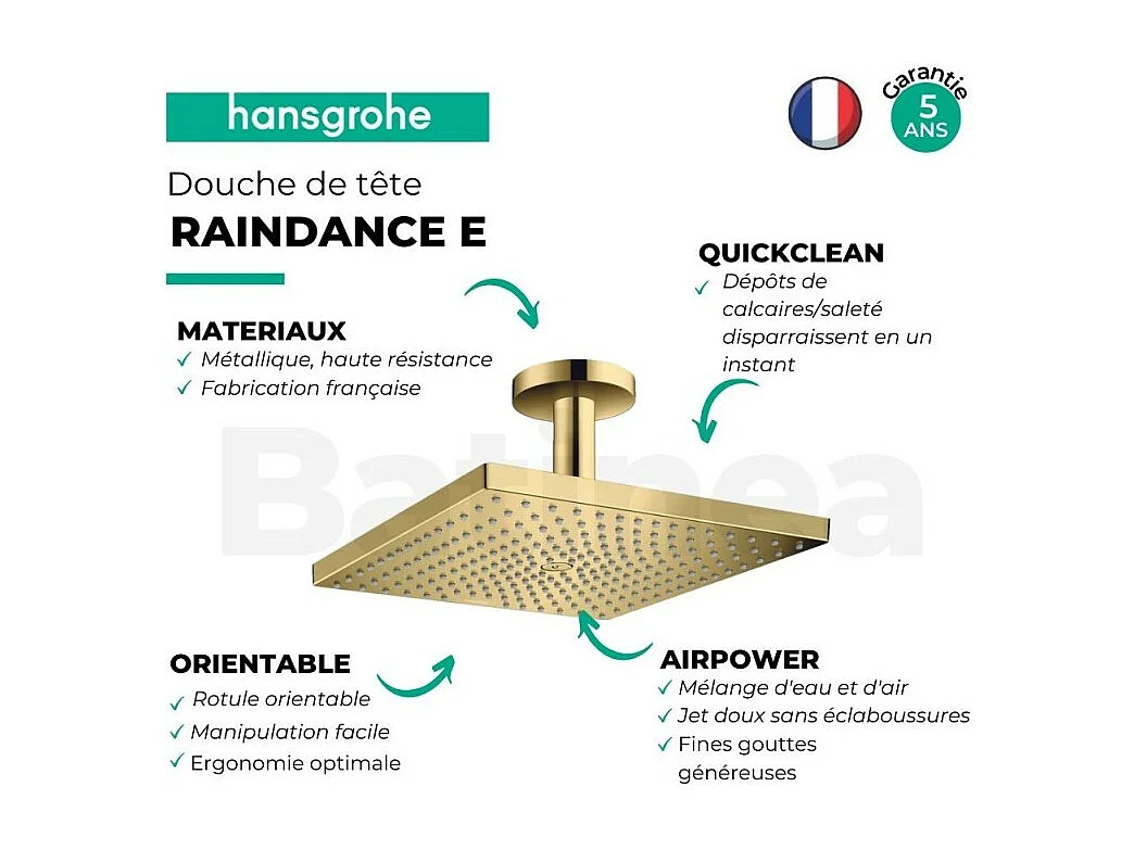 HANSGROHE Raindance E ducha fija de 1 chorro con conexión a techo aspecto dorado pulido