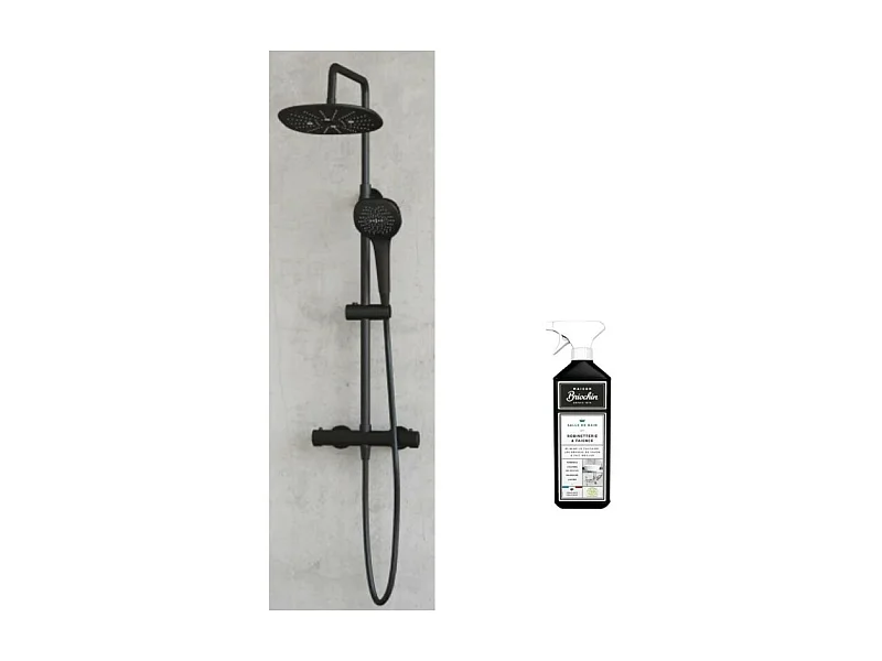 Colonne de douche KINEDO Aquafactory noire + nettoyant Briochin