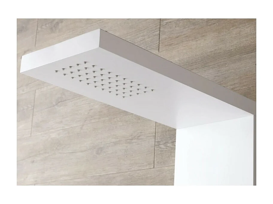 Colonne de douche KINEDO Aquastyle inox laquée blanc mat + nettoyant Briochin