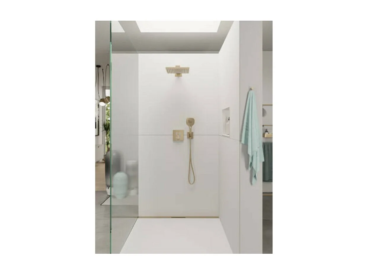 Douche de tête HANSGROHE Raindance E, 1 jet avec bras de douche bronze brossé