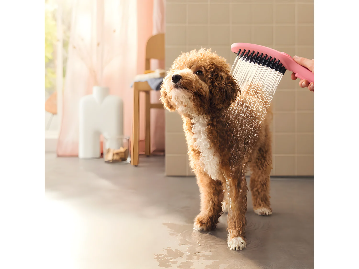 HANSGROHE DogShower Rociador de ducha para perros con 3 chorros Rosa