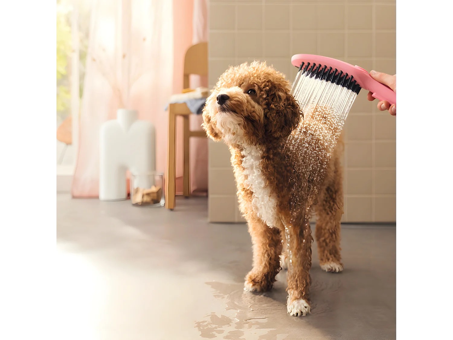 HANSGROHE DogShower Rociador de ducha para perros con 3 chorros Rosa