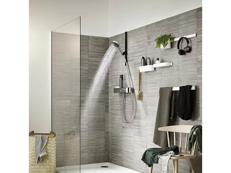 Pommeau de douche HANSGROHE Pulsify 105 EcoSmart+ chromé