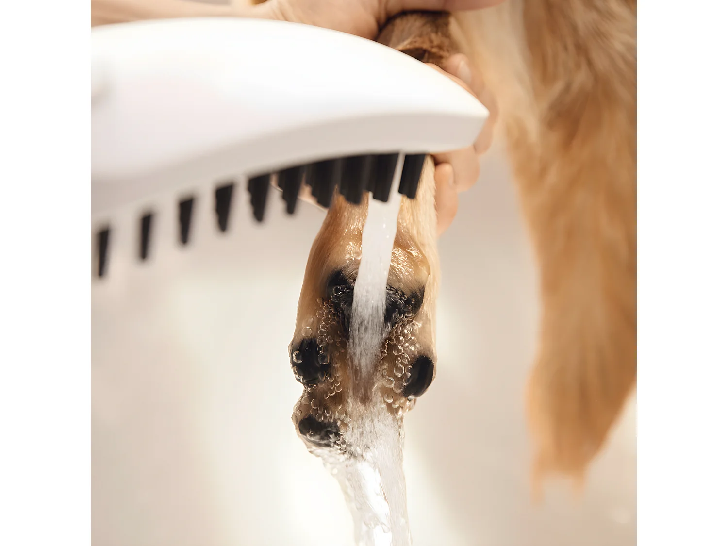 HANSGROHE DogShower Rociador de ducha para perros con 3 chorros Blanco