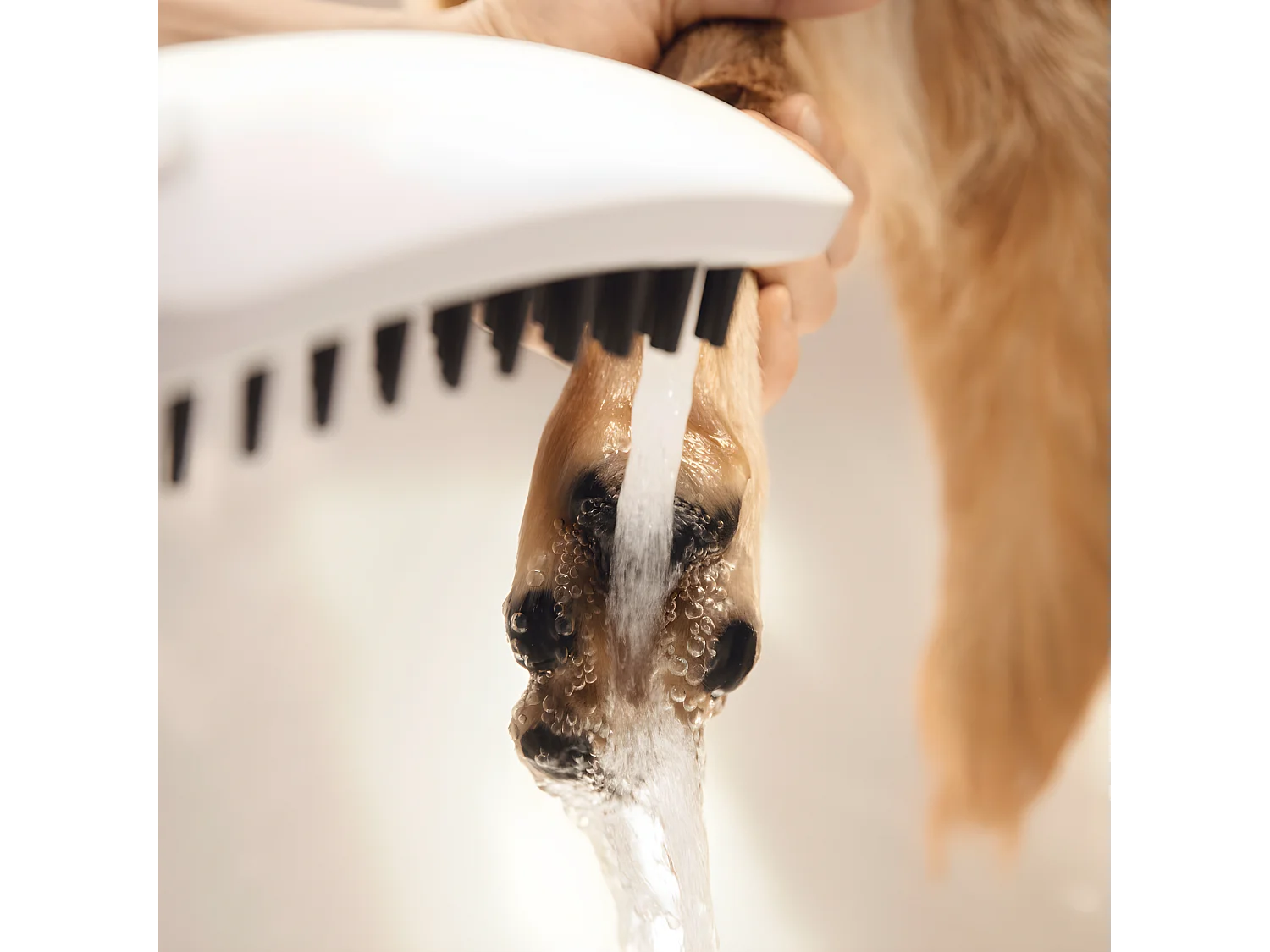 HANSGROHE DogShower Rociador de ducha para perros con 3 chorros Blanco