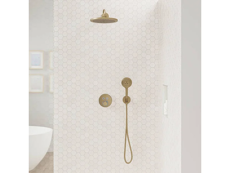 Douchette à main HANSGROHE Raindance Select S 120 3 jets bronze brossé