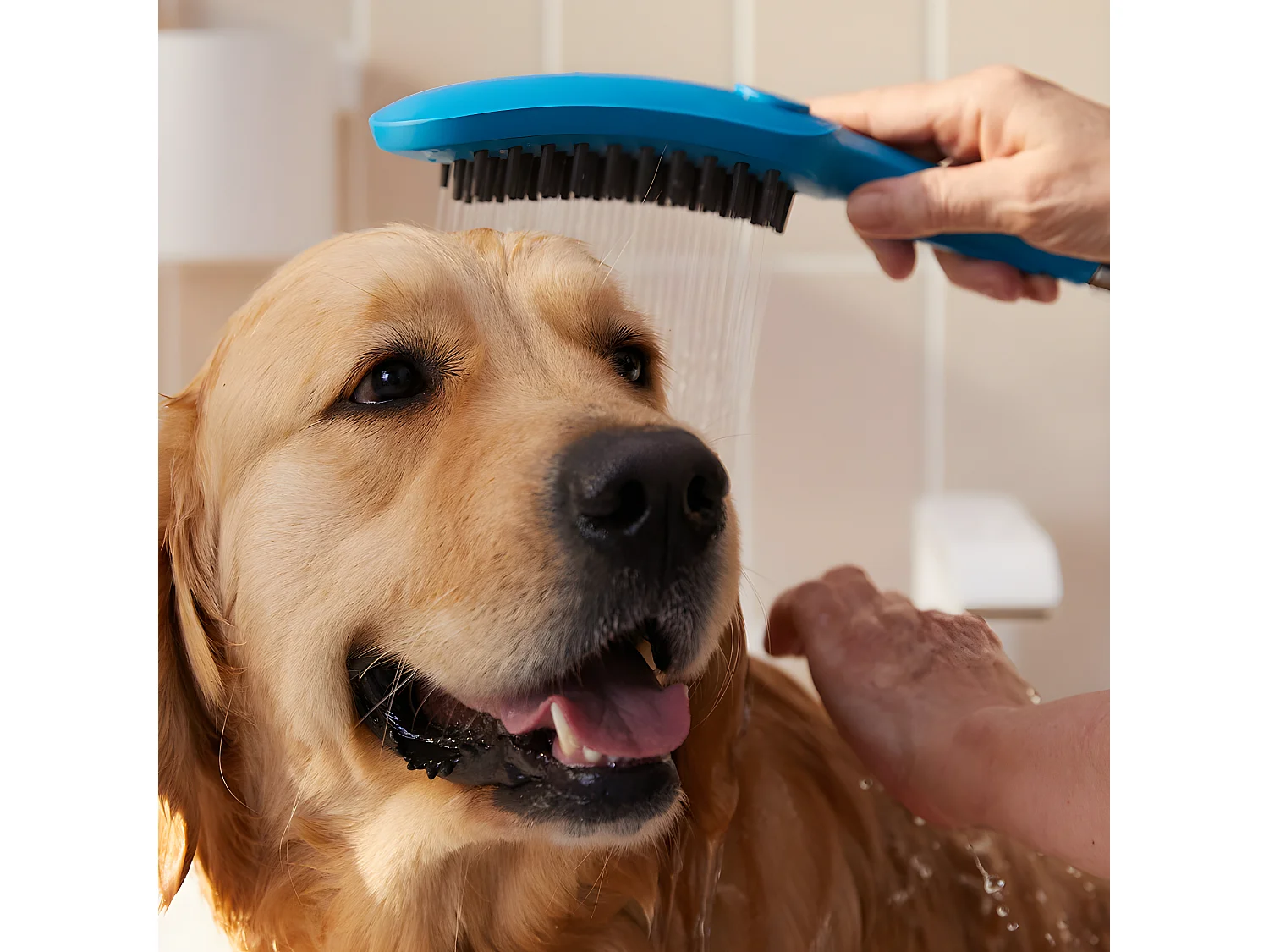 HANSGROHE DogShower Rociador de ducha para perros de 3 chorros Azul