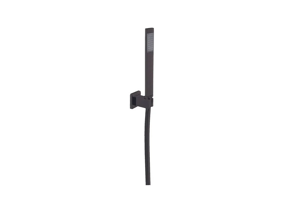 PAINI Douchette 1 jet Dax avec support noir brosse