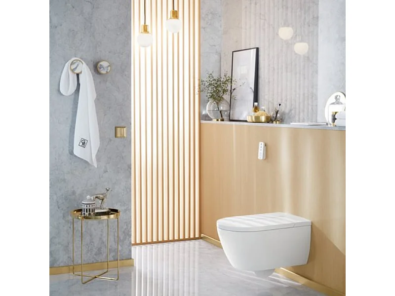 WC lavant sans bride VILLEROY ET BOCH Viclean-I100 avec abattant